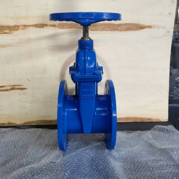 German standard soft-sealed gate valve