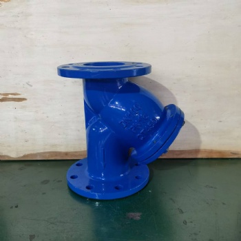 National standard Y-type filter