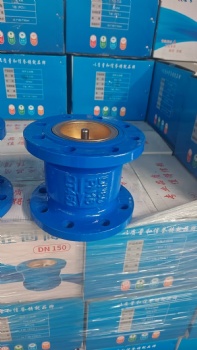 Silencing check valve