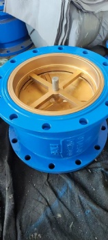 Silencing check valve