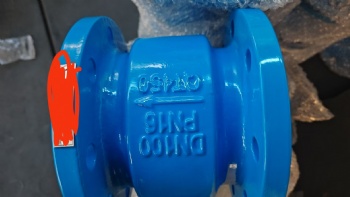 Silencing check valve