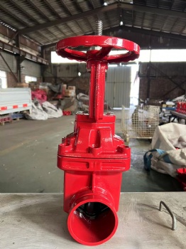 Grooved gate valve
