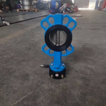 Wafer butterfly valve
