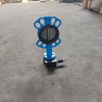 Wafer butterfly valve