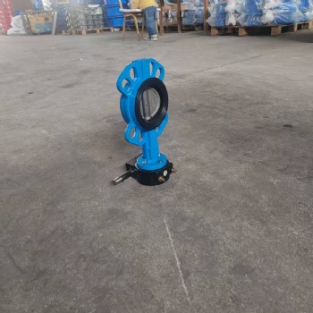 Wafer butterfly valve