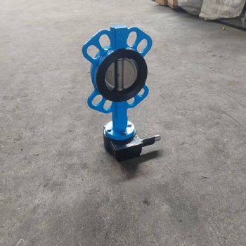 Wafer butterfly valve